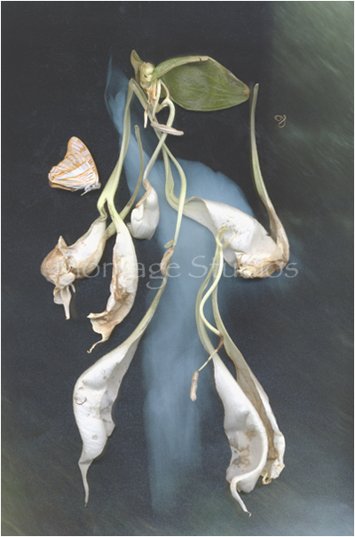 Trumpet, Spirits #1